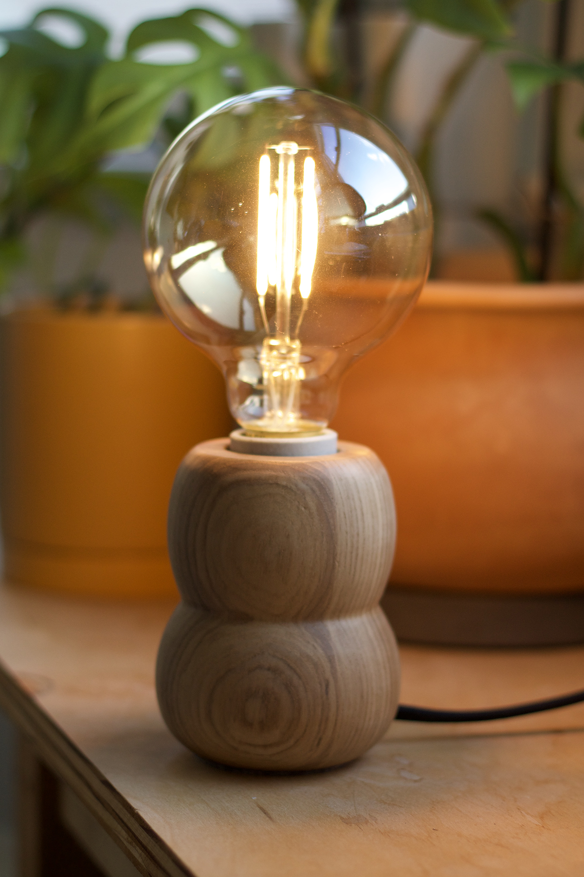 Wooden accent lamp with a vintage-style light bulb on a wooden surface with plants in the background