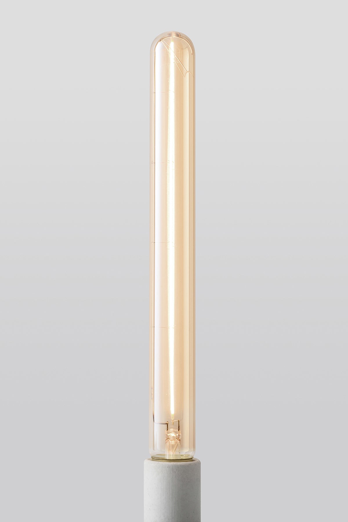 Modern T8 LED light bulb with warm Edison continuous filament