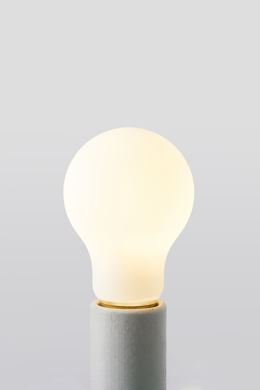 Brightlight A19 LED Bulb